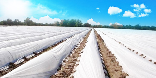 無紡布，無紡布價格，彈簧包用無紡布，家居無紡布，東莞市錦晨無紡布有限公司